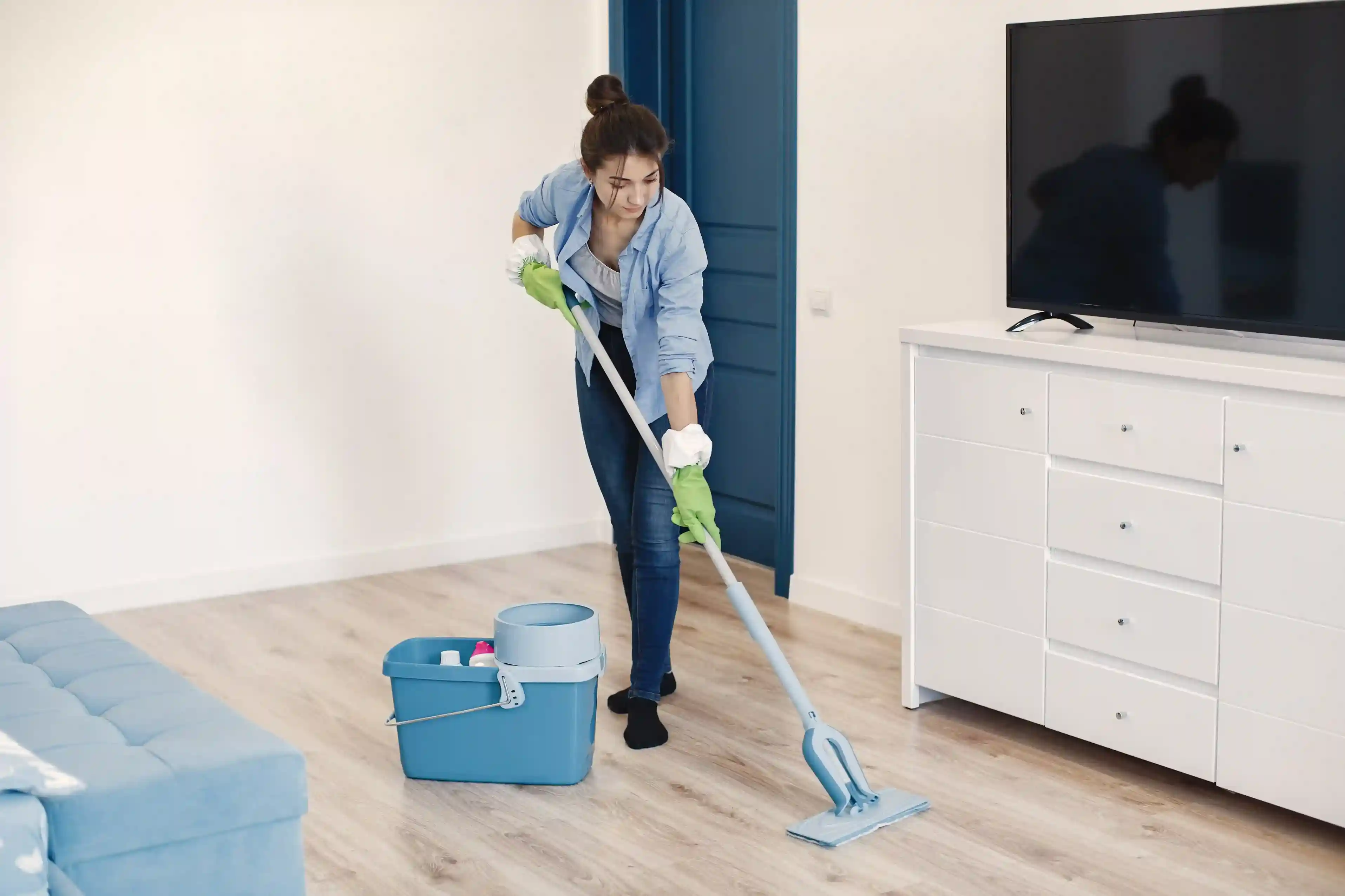 Floor Cleaner